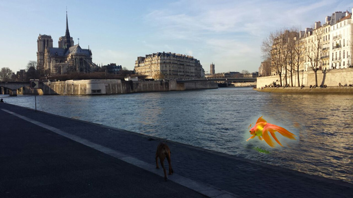 IMG_1714 poisson rouge sous ND