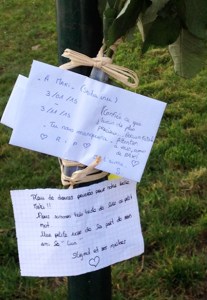 annonce de la mort d'une jeune chienne